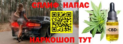 эйфоретик Краснодар