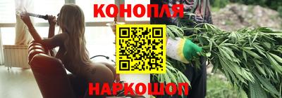 гашик Краснознаменск