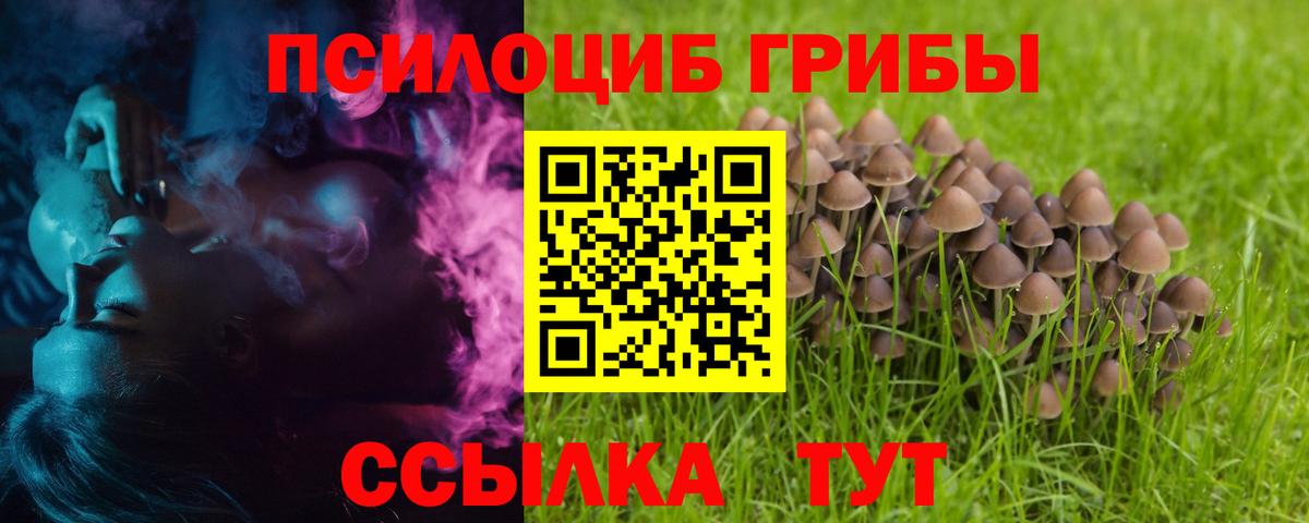 Псилоцибиновые грибы Psilocybine cubensis Унеча